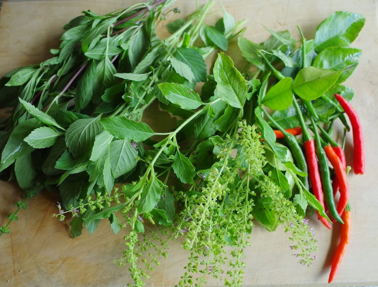 ABOUT PLAZA KHAO GAENG - RYEWATER NURSERY